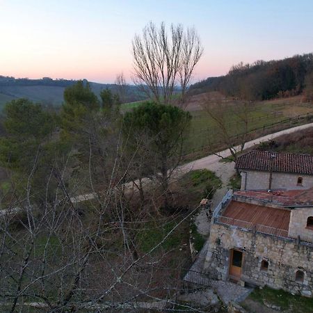 Grand Gite Les Cabanes De Fallot Pour 19 Personnes - Piscine Naturelle L'isle-Bouzon Exterior photo