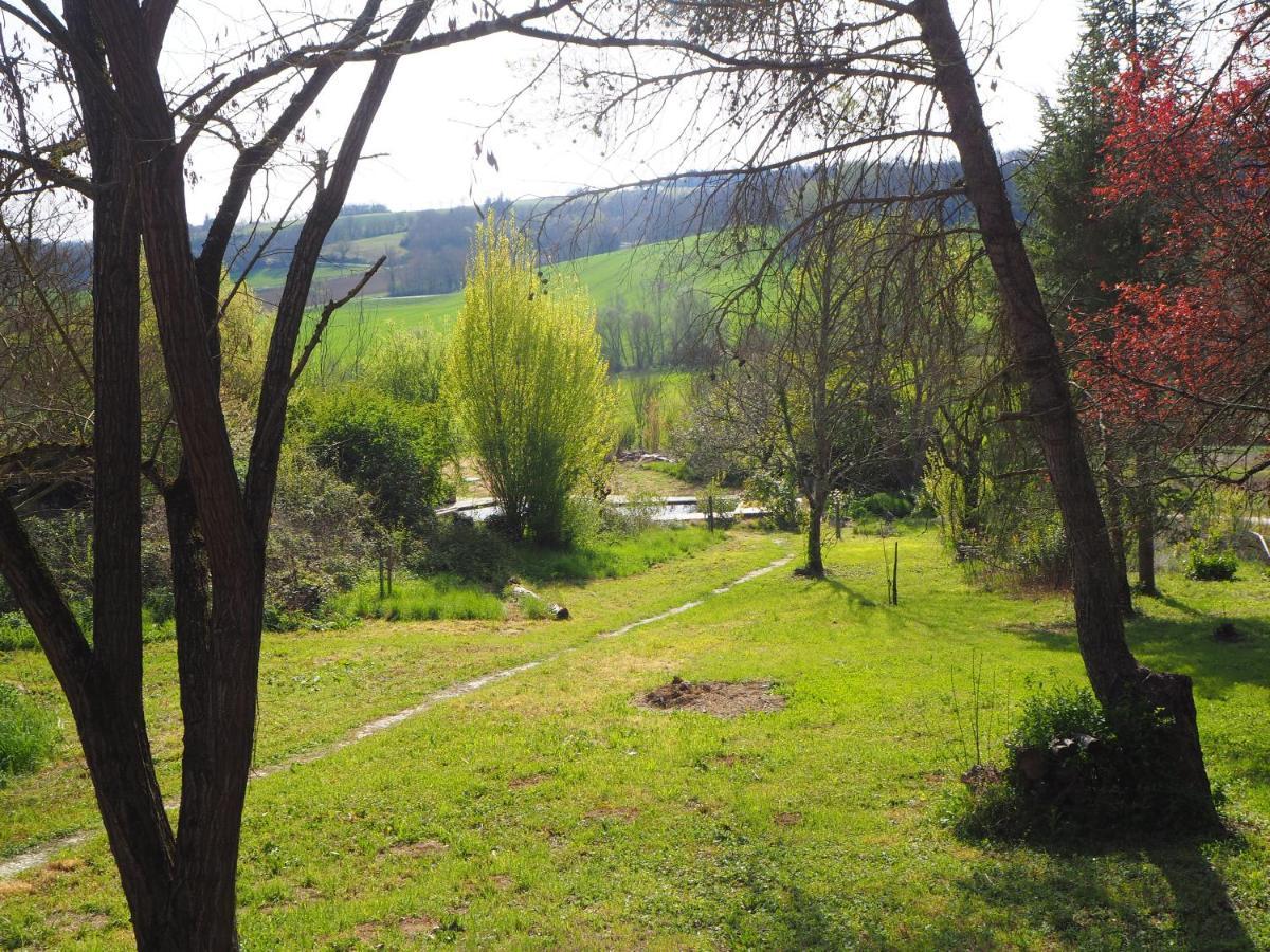 Grand Gite Les Cabanes De Fallot Pour 19 Personnes - Piscine Naturelle L'isle-Bouzon Exterior photo